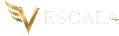 Logo Vize Escala